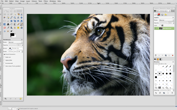 Screenshot shows opening a document using GIMP photo editing software.